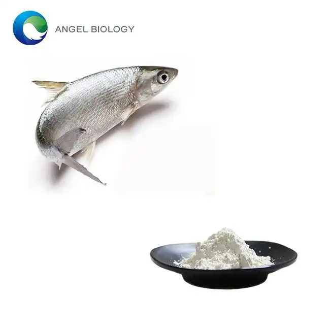 2025 Best OEM/ODM Fish Collagen Peptide Powder Suppliers for Beauty Industry